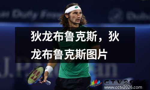 狄龙布鲁克斯，狄龙布鲁克斯图片