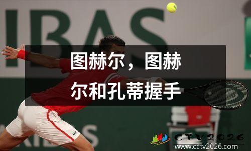 图赫尔，图赫尔和孔蒂握手
