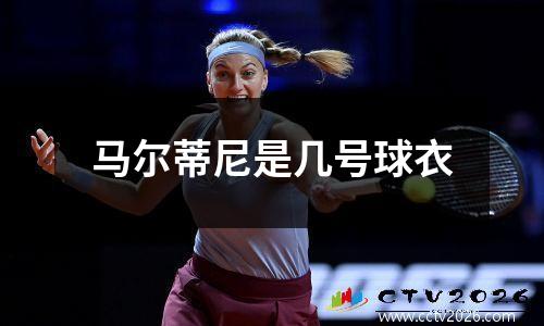 马尔蒂尼是几号球衣