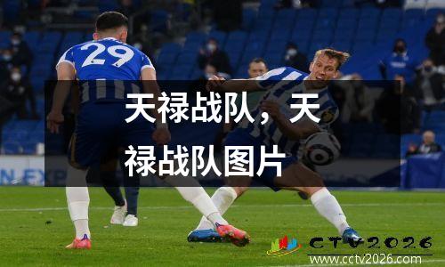 天禄战队，天禄战队图片