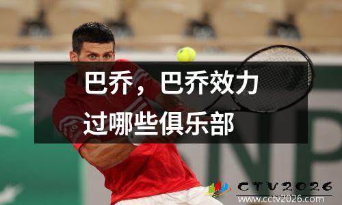 巴乔，巴乔效力过哪些俱乐部