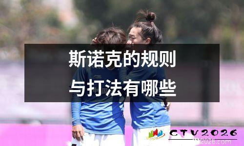 斯诺克的规则与打法有哪些