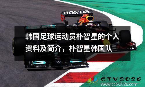 韩国足球运动员朴智星的个人资料及简介，朴智星韩国队