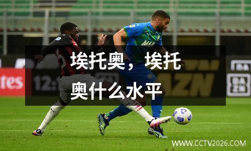 埃托奥，埃托奥什么水平