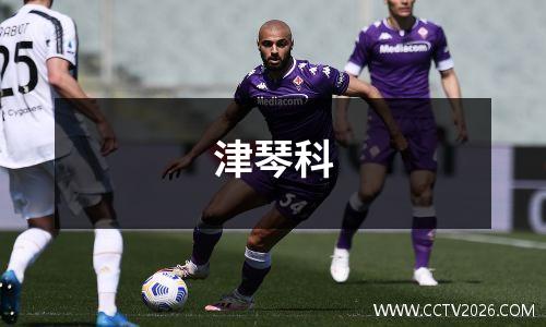 津琴科