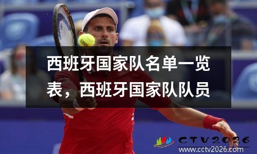 西班牙国家队名单一览表，西班牙国家队队员