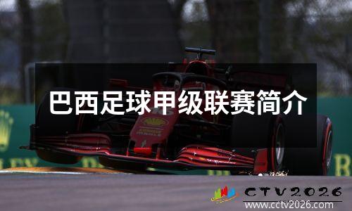 巴西足球甲级联赛简介