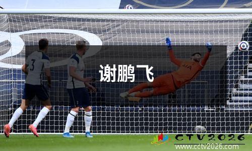 谢鹏飞