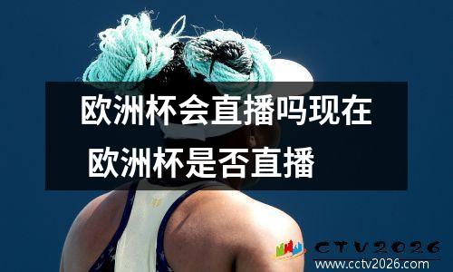 欧洲杯会直播吗现在 欧洲杯是否直播