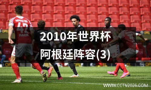 2010年世界杯阿根廷阵容(3)