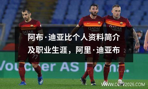 阿布·迪亚比个人资料简介及职业生涯，阿里·迪亚布