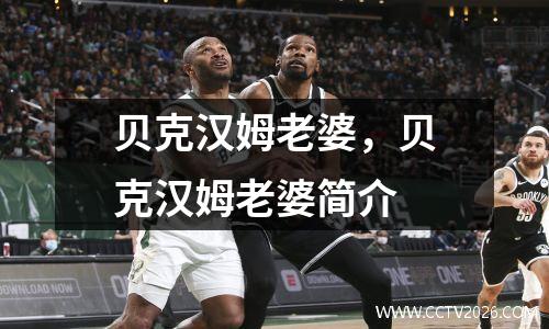 贝克汉姆老婆，贝克汉姆老婆简介