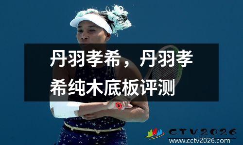 丹羽孝希，丹羽孝希纯木底板评测