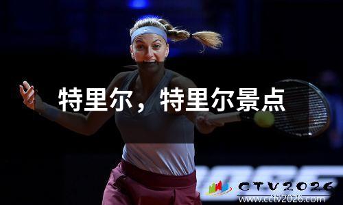 特里尔，特里尔景点