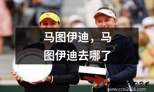 马图伊迪，马图伊迪去哪了