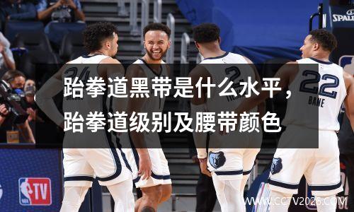 跆拳道黑带是什么水平，跆拳道级别及腰带颜色