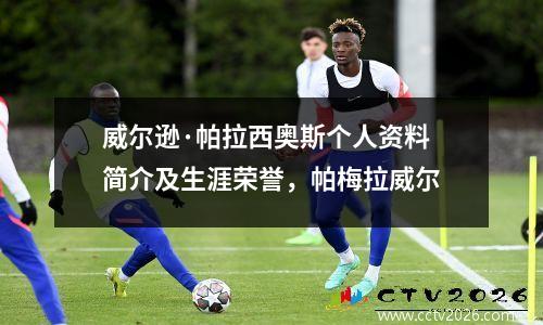 威尔逊·帕拉西奥斯个人资料简介及生涯荣誉，帕梅拉威尔