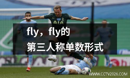 fly，fly的第三人称单数形式