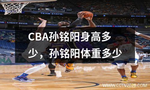 CBA孙铭阳身高多少，孙铭阳体重多少