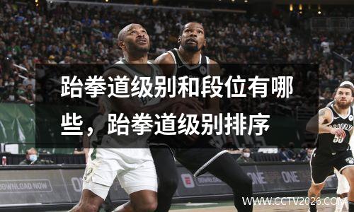 跆拳道级别和段位有哪些，跆拳道级别排序