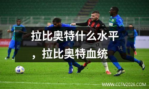 拉比奥特什么水平，拉比奥特血统