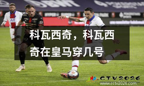 科瓦西奇，科瓦西奇在皇马穿几号