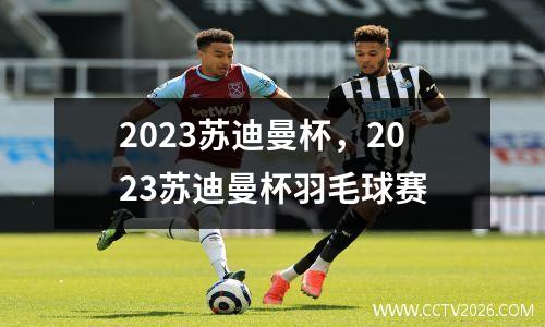 2023苏迪曼杯，2023苏迪曼杯羽毛球赛