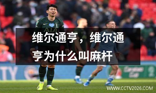 维尔通亨，维尔通亨为什么叫麻杆