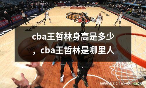 cba王哲林身高是多少，cba王哲林是哪里人