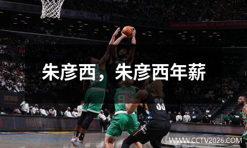 朱彦西，朱彦西年薪