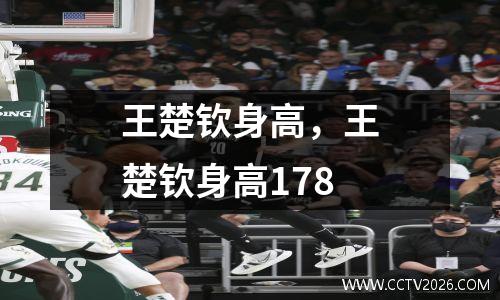 王楚钦身高，王楚钦身高178