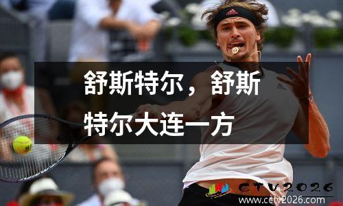 舒斯特尔，舒斯特尔大连一方