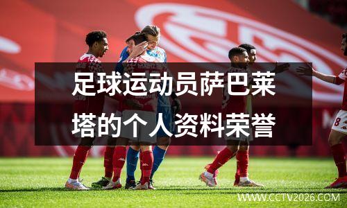 足球运动员萨巴莱塔的个人资料荣誉