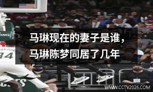 马琳现在的妻子是谁，马琳陈梦同居了几年