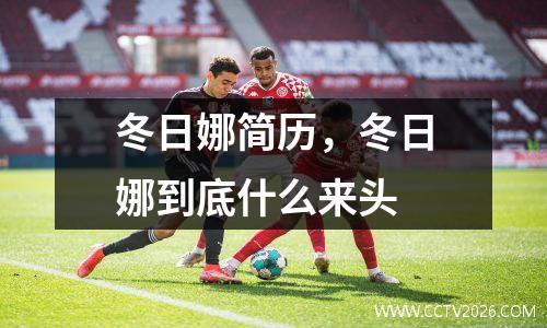 冬日娜简历，冬日娜到底什么来头