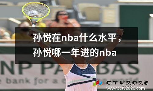 孙悦在nba什么水平，孙悦哪一年进的nba