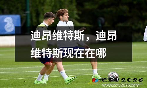迪昂维特斯，迪昂维特斯现在在哪