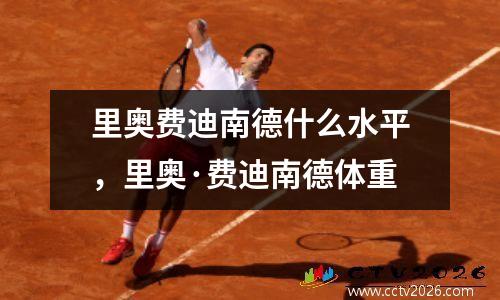 里奥费迪南德什么水平，里奥·费迪南德体重