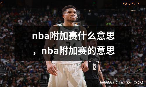 nba附加赛什么意思，nba附加赛的意思