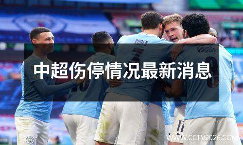 中超伤停情况最新消息