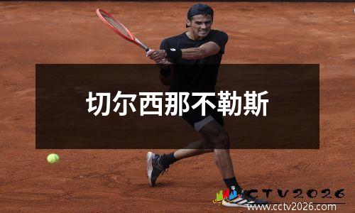 切尔西那不勒斯