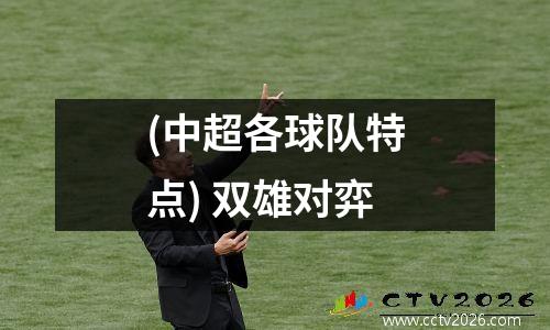 (中超各球队特点) 双雄对弈