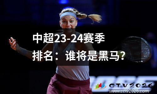 中超23-24赛季排名：谁将是黑马？