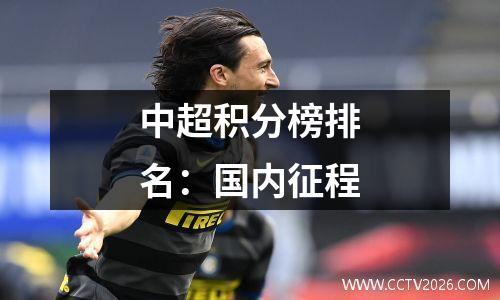 中超积分榜排名：国内征程