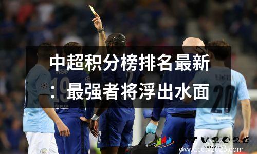 中超积分榜排名最新：最强者将浮出水面