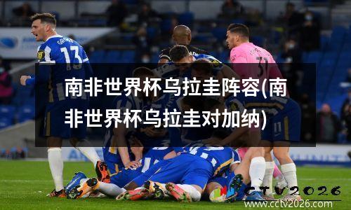 南非世界杯乌拉圭阵容(南非世界杯乌拉圭对加纳)