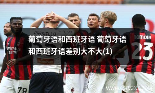 葡萄牙语和西班牙语 葡萄牙语和西班牙语差别大不大(1)