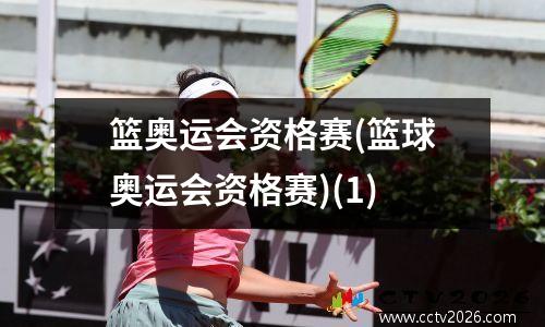 篮奥运会资格赛(篮球奥运会资格赛)(1)