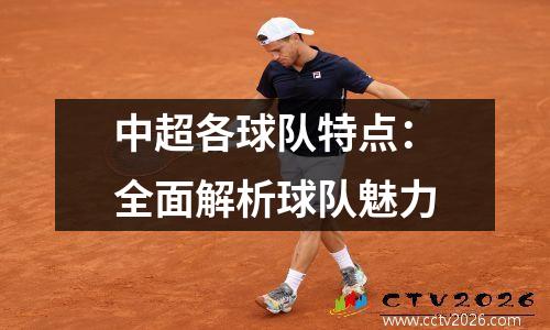 中超各球队特点：全面解析球队魅力