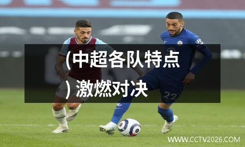(中超各队特点) 激燃对决